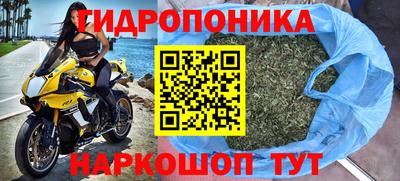spice Будённовск
